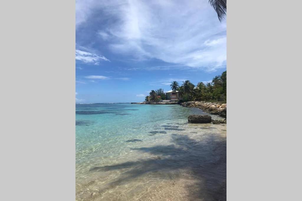 Les Touloulous Lägenhet Sainte-Anne  Exteriör bild
